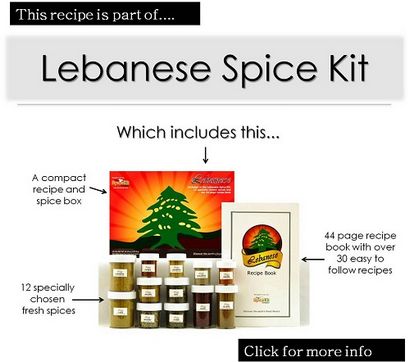 Libanais Shish Taouk (Tawook) - Les Spice Kit Recettes