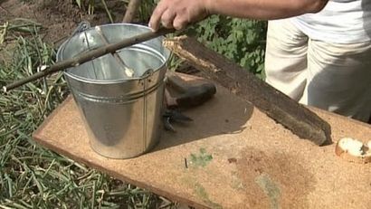 Lassen Sie sich die beste hausgemachte Rattenfalle machen, um loszuwerden, böser Nagetiere!