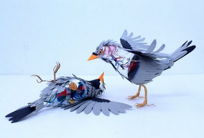 Sculptures Lifelike oiseaux en papier par Diana Herrera