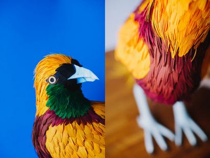 Sculptures Lifelike oiseaux en papier par Diana Herrera