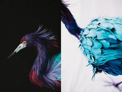 Sculptures Lifelike oiseaux en papier par Diana Herrera