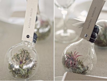 Ampoule terrariums- un tutoriel - Un Revelry Subtil