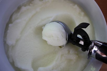 Limoncello Sorbet - Complètement délicieux