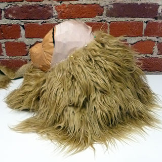 Lion Dog Costume 5 étapes (avec des images) (comment faire de grands cheveux lion) Lion Dog Costume 5 étapes (avec photos)