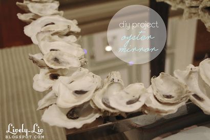 Animé Liv projet diy miroir coquille d'huître