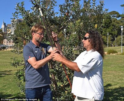 patron de Liverpool Jurgen Klopp fait plus d'un voyage en Australie, Daily Mail en ligne