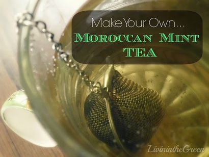 Livin dans le vert Faites votre propre marocaine Thé à la menthe