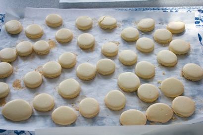 Macarons From Scratch