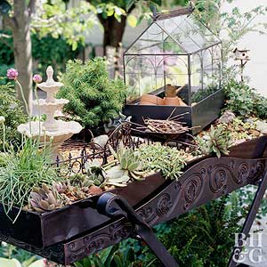 Faire un jardin miniature