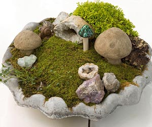 Machen Sie einen Miniatur-Garten