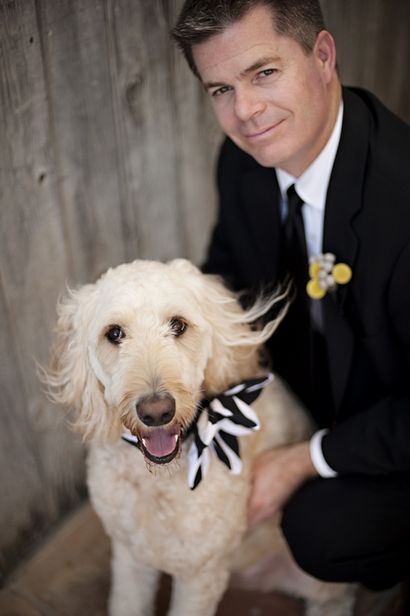 Machen Sie einen entzückenden Special Event Blumen-Kragen für Ihren Hund - Ihre Gäste Awe Will - Fab Sie Bliss