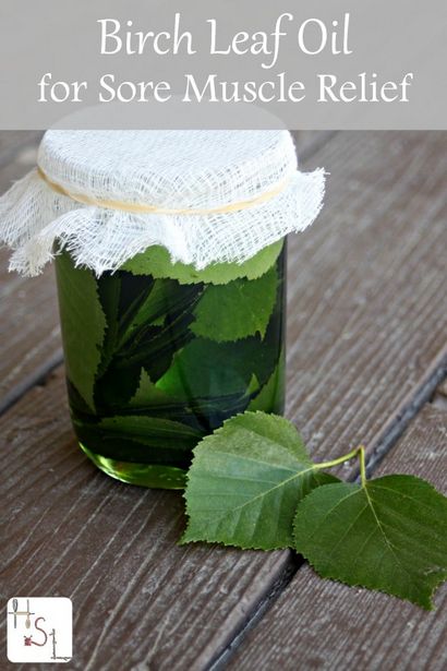 Faire Birch huile de feuilles pour les muscles endoloris, Homespun vie saisonnière