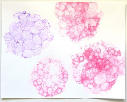 Machen Blase Farbe Blume Hortensien - ein Stück Regenbogen