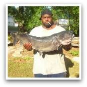 Faire maison Catfish Recettes Bait (maison) Faire Maison silure Recettes Bait
