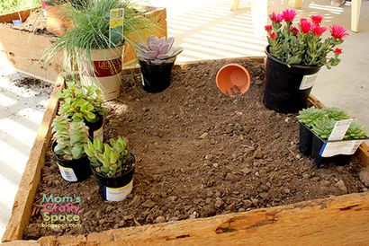 Faites votre propre Fairy Garden - Le bonheur est fait maison