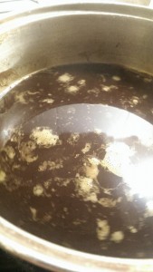 Faire un champignon Chaga éthanol Extraction, extrait, Colorant blog de plantbasedrunners