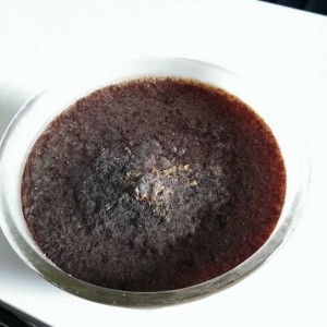 Faire un champignon Chaga éthanol Extraction, extrait, Colorant blog de plantbasedrunners
