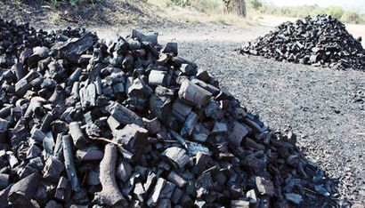 Faire vivre de briquettes de charbon de bois - La nation Nigeria
