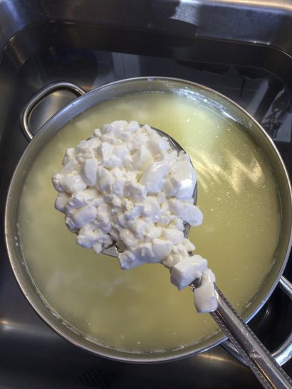 Fromager bleu à la maison - une tomate, deux tomates