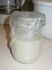 Faire du beurre de lait cru - Flèches Raising