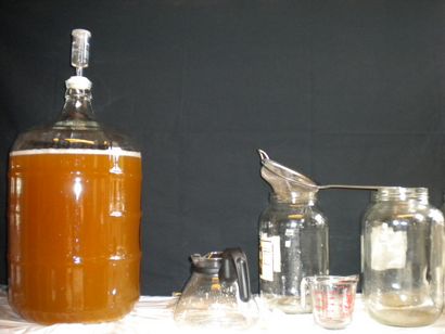 Faire Kombucha vin, Bay Kombucha