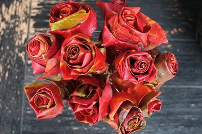 Herstellung von Rosen aus Ahorn-Blätter - Home Stories von A bis Z