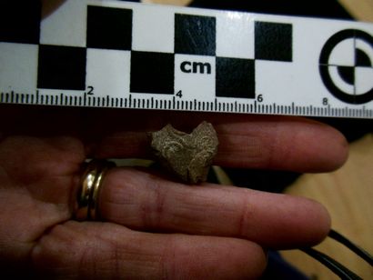 Faire impressions amulette scarabée - partie 1, dans le laboratoire d'artefact