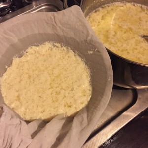 Herstellung von Tofu aus dem Nichts - HIPS - HAWS