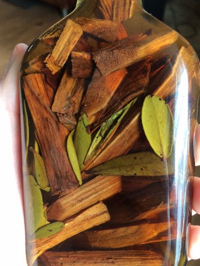 Mamajuana The Mysterious Getränk aus der Dominikanischen Republik, SwigSwig