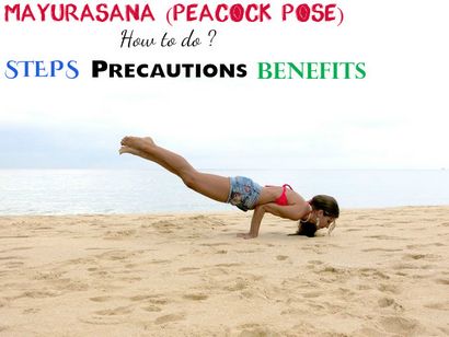 Mayurasana (Peacock Pose) Comment faire, étapes, précautions - Avantages - élégant Walks