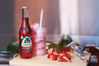 Mexique Food Distributors, Novamex, Dessert Recettes (recettes) Mexique Food Distributors, Novamex, Recettes Dessert