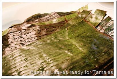 Mexique dans ma cuisine Comment faire tamales Huastecos dans des feuilles de bananier, Invité Message par Gusta Usted