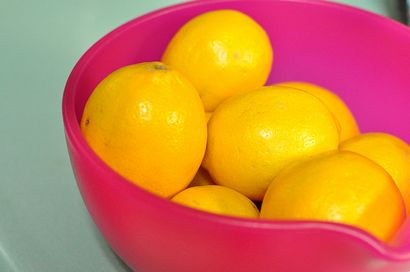 Meyer Lemon Curd - Lebensmittel in Dosen