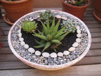 Miniatur-Zen-Garten zum Entspannen - kleiner Garten Ideen