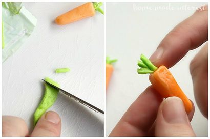 Mini carottes comestibles - Accueil