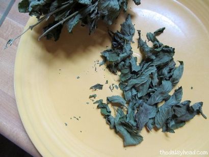 Mint Tea Garden Wie Sie Ihre eigene Herbal Pfefferminztee anzubauen und ernten - die daisyhead