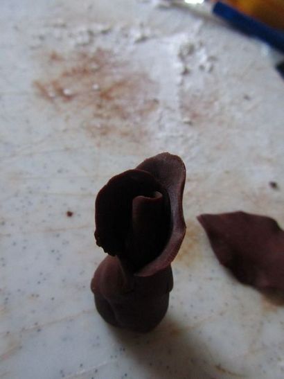 Modélisation des roses au chocolat 9 étapes (avec photos)