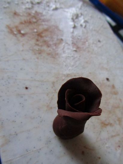 Modélisation des roses au chocolat 9 étapes (avec photos)