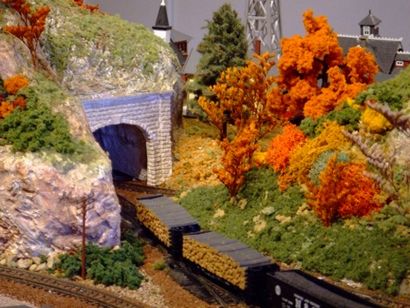 Model Train Paysage