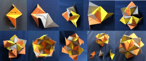 origami modulaire - Polypompholyx