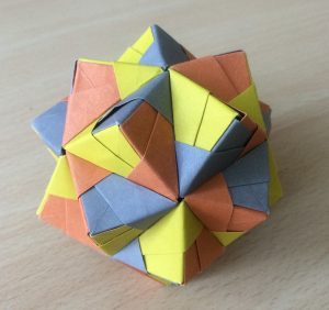 Modular Origami - Polypompholyx