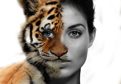 Morphing visages humains avec des animaux Faces dans Photoshop - Formation Acuity