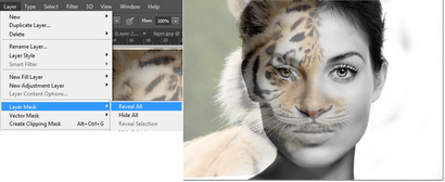 Morphing visages humains avec des animaux Faces dans Photoshop - Formation Acuity