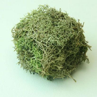 Moss paniers suspendus pour Dolls House (comment faire des paniers couverts de mousse) Moss paniers suspendus pour Dolls House