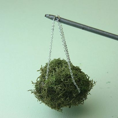 Moss Paniers pour Hanging Dolls House (poupées) Moss paniers suspendus pour Dolls House