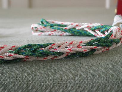 Multi Strand Finger boucle Tressage 5 étapes (avec photos)