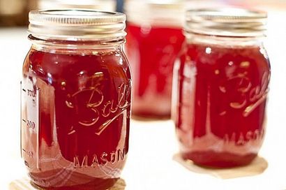 Muscadine Jelly - Cuisiner, Ajouter un Pinch, Robyn Stone