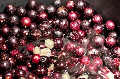 Muscadine Jelly - Cuisiner, Ajouter un Pinch, Robyn Stone