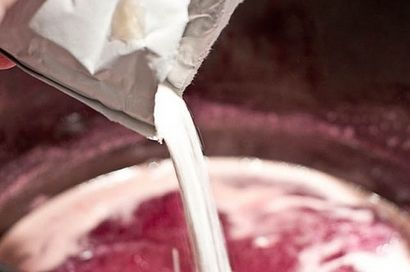 Muscadine Jelly - Cuisiner, Ajouter un Pinch, Robyn Stone (gelée) Muscadine Jelly - Cuisiner, Ajouter un Pinch, Robyn Stone