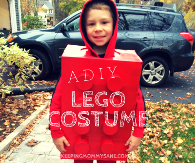 Mon bricolage LEGO brique Halloween Costume